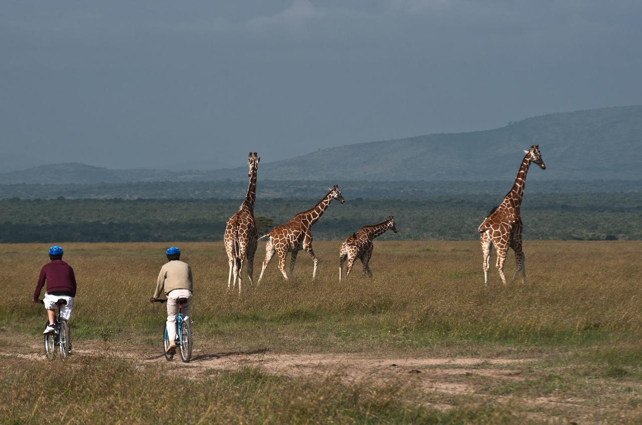 Kicheche Laikipia Camp Villa Ol Pejeta Conservancy Ngoại thất bức ảnh