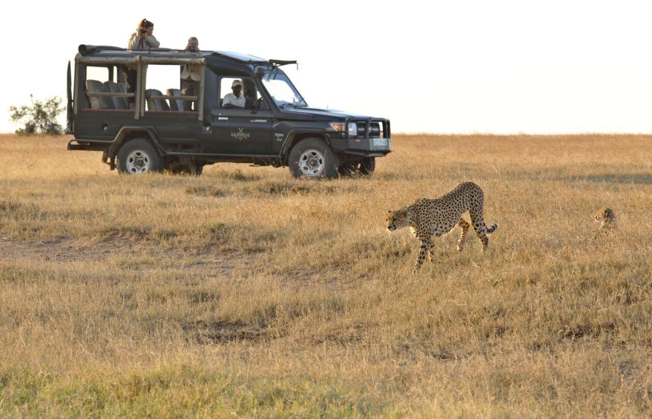Kicheche Laikipia Camp Villa Ol Pejeta Conservancy Ngoại thất bức ảnh